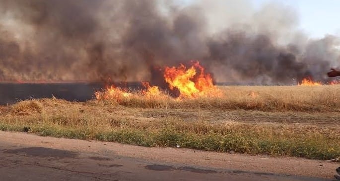 بعد حصر أضرار الحرائق.. آمال بتعويض مزارعي الحسكة